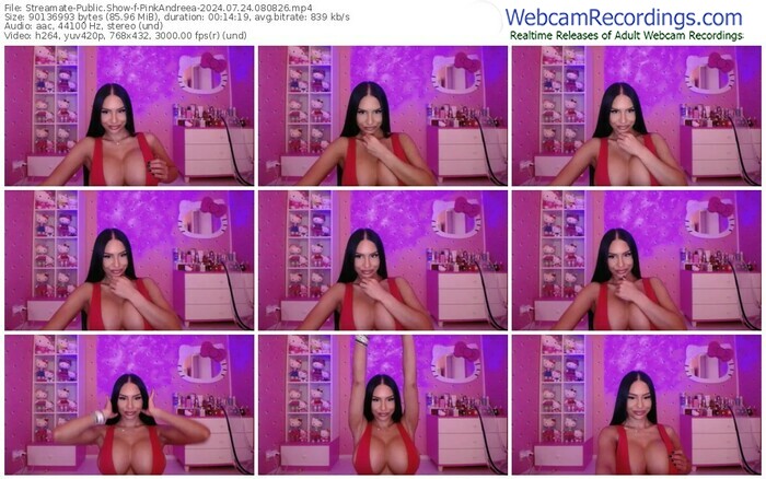 streamate-pinkandreea-07-24-2024-08-08-26