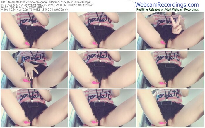 streamate-noname301squirt-07-25-2024-00-42-37
