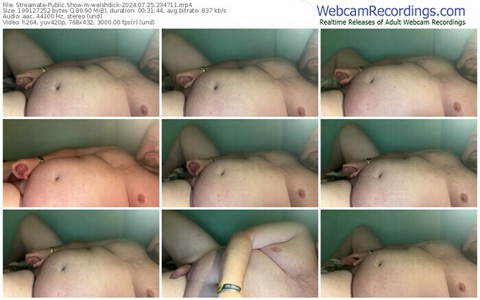 streamate-welshdick-07-25-2024-23-47-11