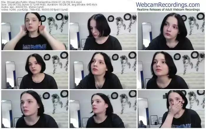 streamate-noreendia-07-26-2024-05-13-14