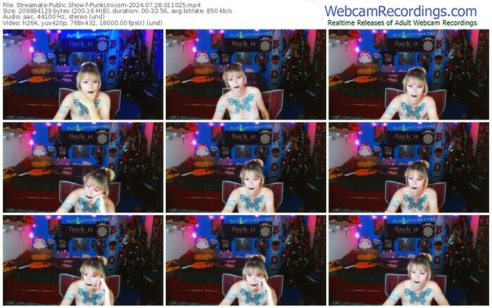 streamate-punkunicorn-07-28-2024-01-10-25