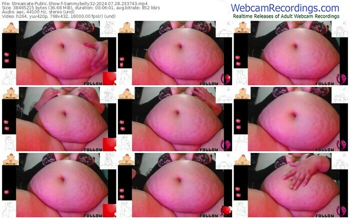 streamate-sammybelly32-07-28-2024-23-37-43