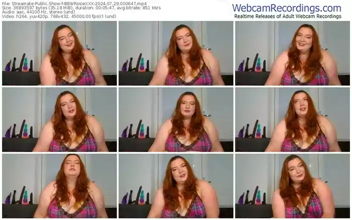 streamate-bbwrosiexxx-07-29-2024-00-06-47