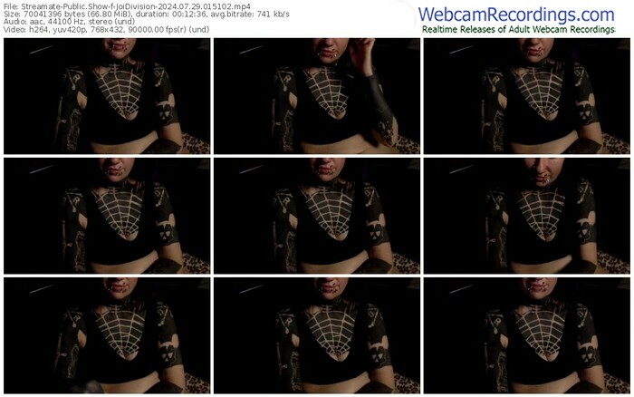 streamate-joidivision-07-29-2024-01-51-02