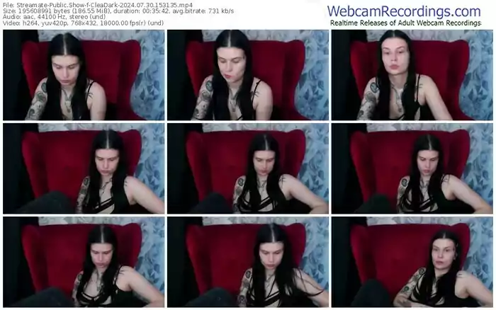 streamate-cleadark-07-30-2024-15-31-35