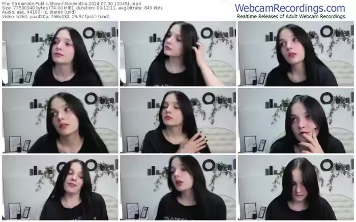 streamate-noreendia-07-30-2024-11-04-51