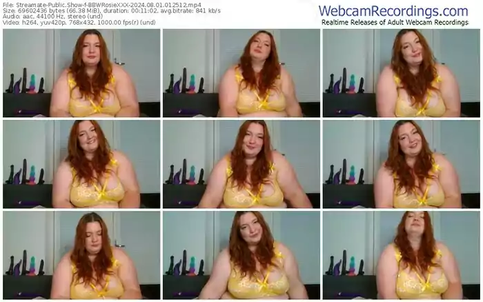 streamate-bbwrosiexxx-08-01-2024-01-25-12