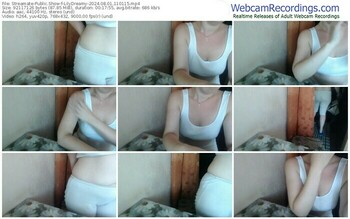 streamate-lilydreamy-08-01-2024-11-01-15
