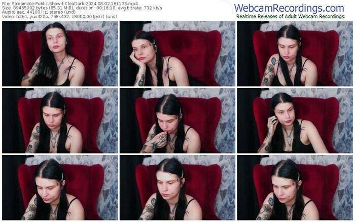 streamate-cleadark-08-02-2024-16-11-33