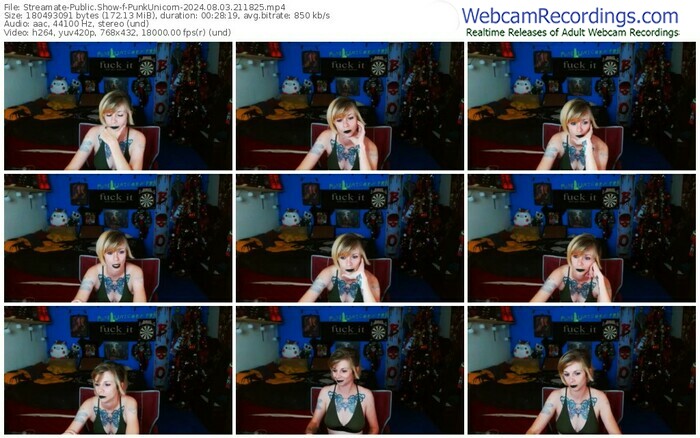 streamate-punkunicorn-08-03-2024-21-18-25
