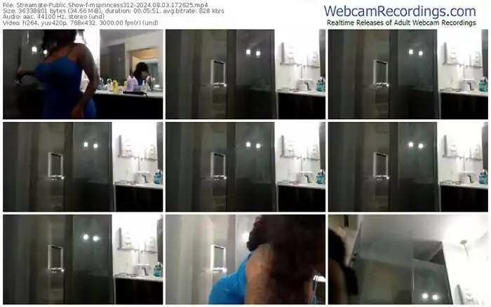 streamate-msprincess312-08-03-2024-17-26-25