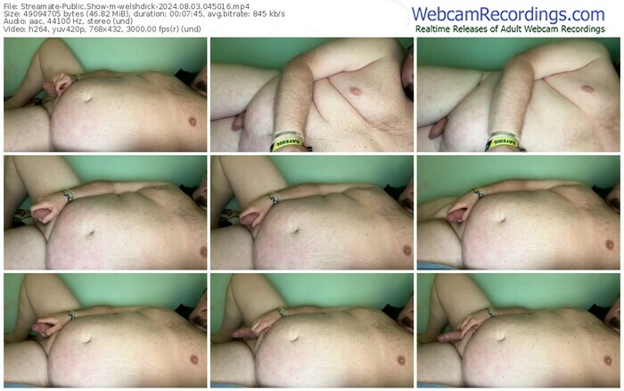 streamate-welshdick-08-03-2024-04-50-16