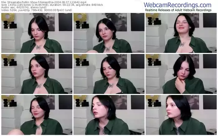 streamate-noreendia-08-07-2024-11-36-42