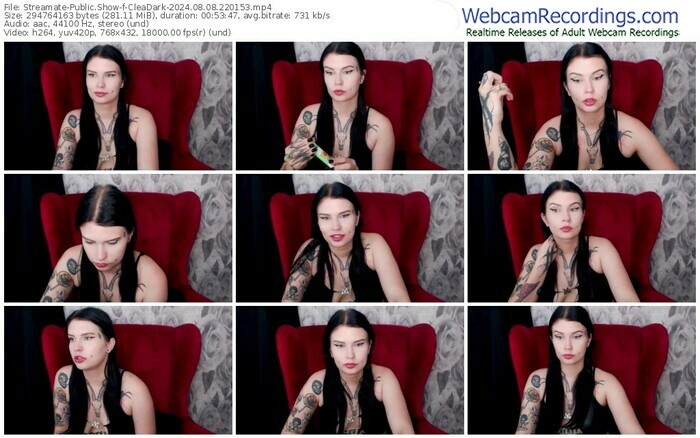 streamate-cleadark-08-08-2024-22-01-53