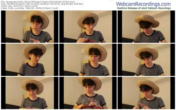 streamate-wheezycheese-08-08-2024-23-32-19