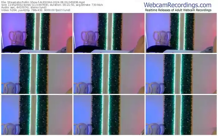 streamate-alesiyaa-08-09-2024-04-58-38