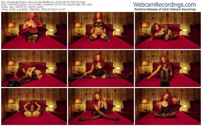 streamate-littleredbunny-08-09-2024-04-57-33