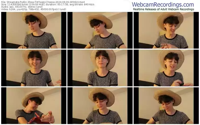 streamate-wheezycheese-08-09-2024-00-56-10