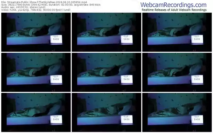 streamate-theskylarae-08-10-2024-06-58-54