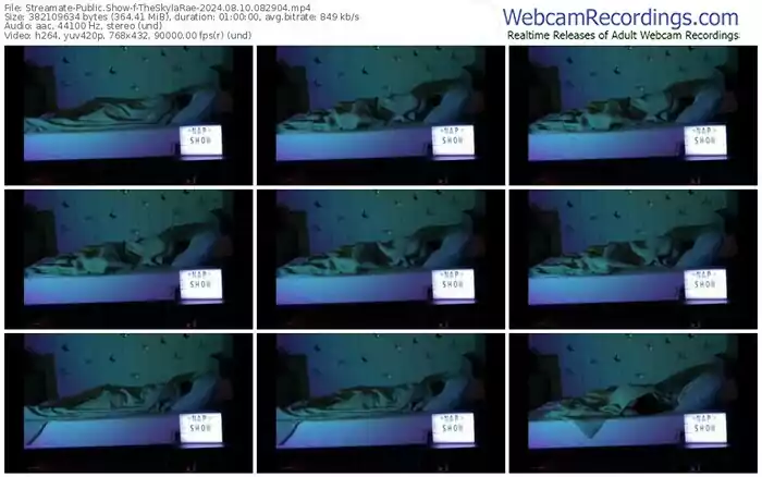 streamate-theskylarae-08-10-2024-08-29-04