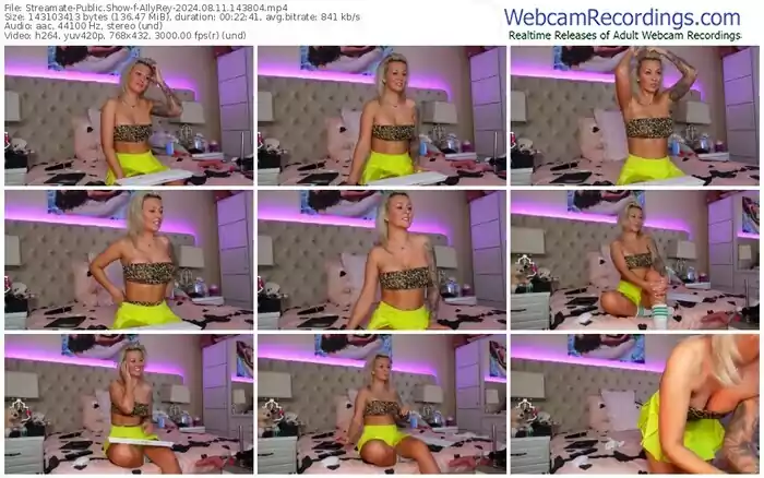 streamate-allyrey-08-11-2024-14-38-04