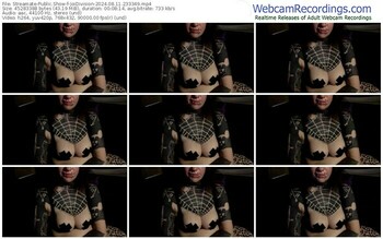 streamate-joidivision-08-11-2024-23-33-49