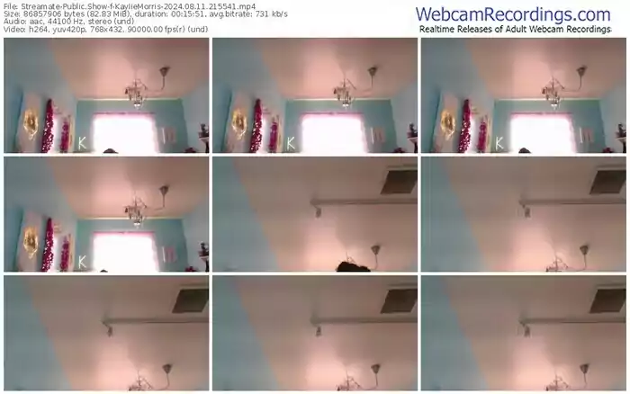 streamate-kayliemorris-08-11-2024-21-55-41