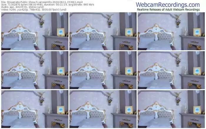 streamate-larissahills-08-11-2024-15-39-11