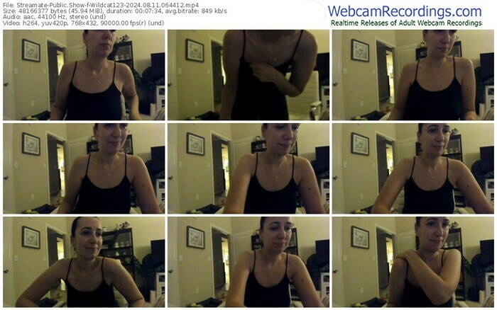 streamate-wildcat123-08-11-2024-06-44-12