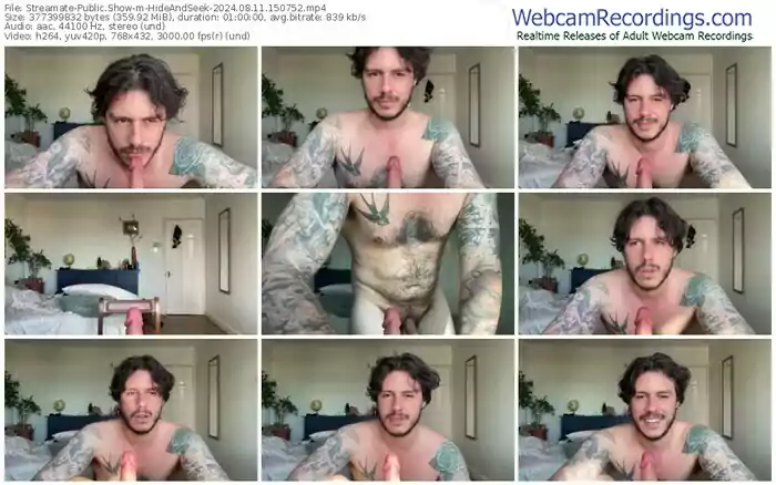 streamate-hideandseek-08-11-2024-15-07-52