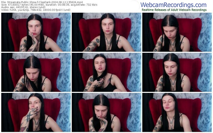 streamate-cleadark-08-12-2024-13-58-24