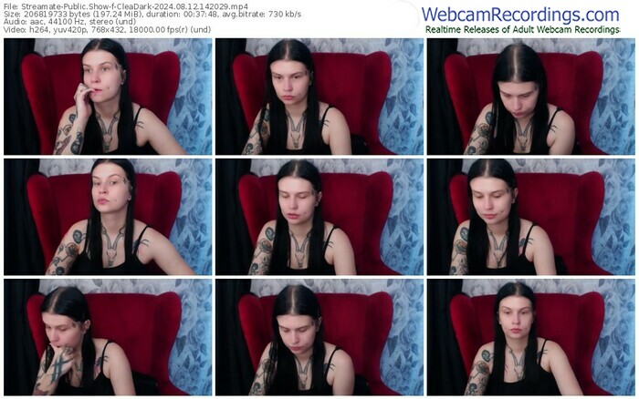 streamate-cleadark-08-12-2024-14-20-29