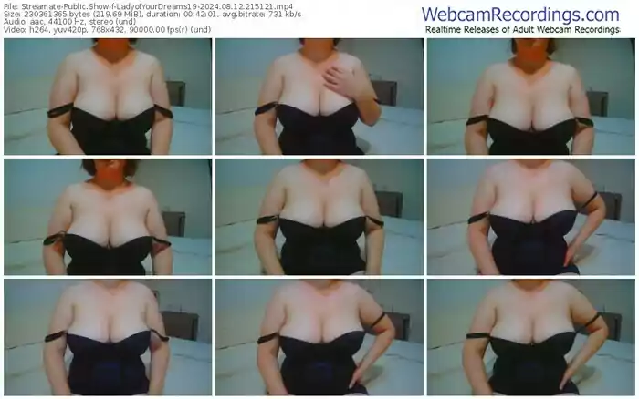 streamate-ladyofyourdreams19-08-12-2024-21-51-21