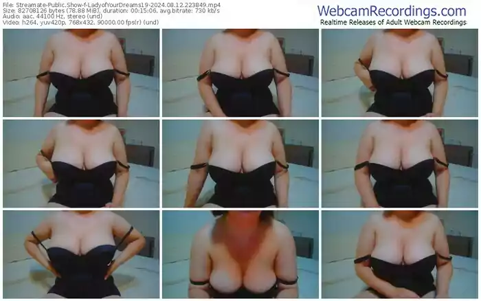 streamate-ladyofyourdreams19-08-12-2024-22-38-49