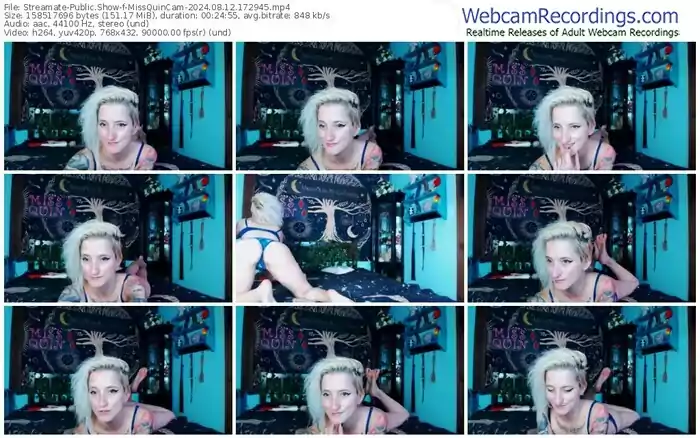streamate-missquincam-08-12-2024-17-29-45