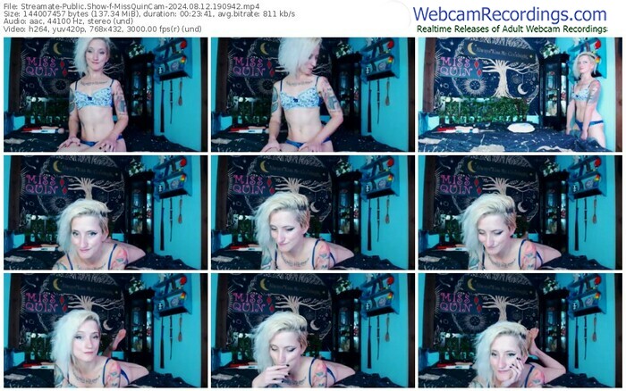 streamate-missquincam-08-12-2024-19-09-42