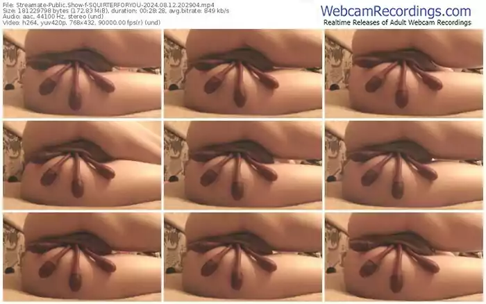 streamate-squirterforyou-08-12-2024-20-29-04