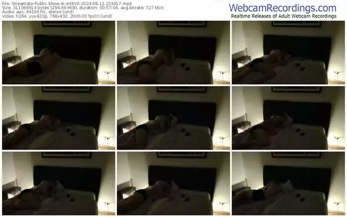 streamate-mtkvii-08-12-2024-23-33-17