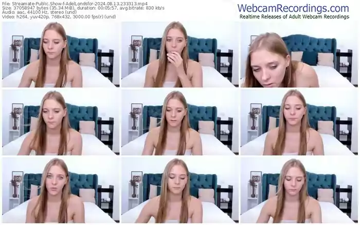 streamate-adellondsfor-08-13-2024-23-33-13