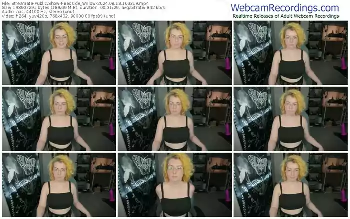 streamate-bedside_willow-08-13-2024-16-33-19