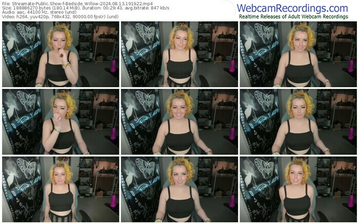 streamate-bedside_willow-08-13-2024-19-19-22