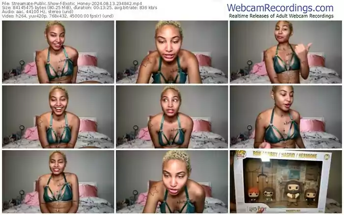 streamate-exotic_honey-08-13-2024-23-48-42