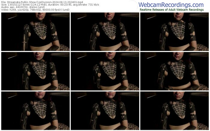 streamate-joidivision-08-13-2024-23-24-03