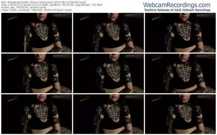 streamate-joidivision-08-13-2024-23-24-03