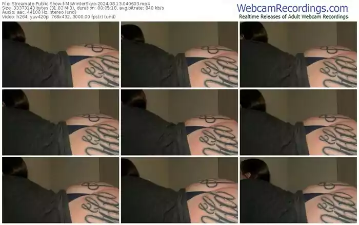 streamate-mswinterskye-08-13-2024-04-06-03