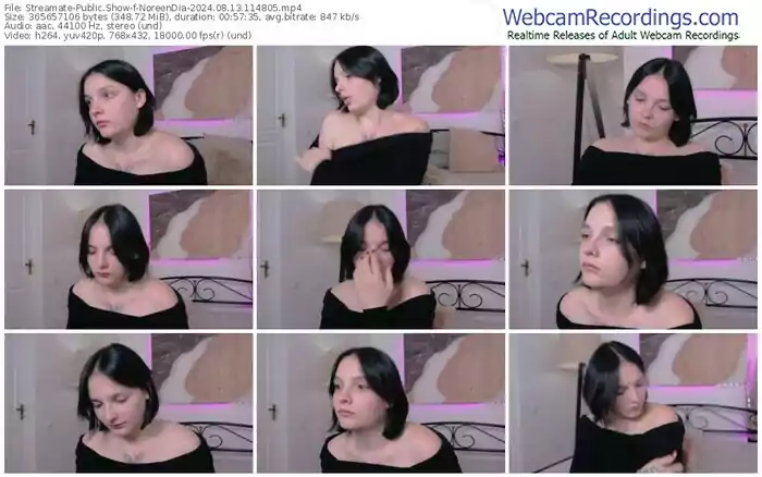 streamate-noreendia-08-13-2024-11-48-05