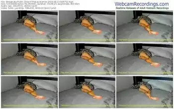 streamate-thelaciejames-08-13-2024-00-47-52