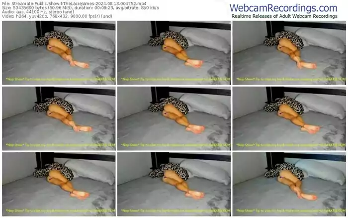 streamate-thelaciejames-08-13-2024-00-47-52