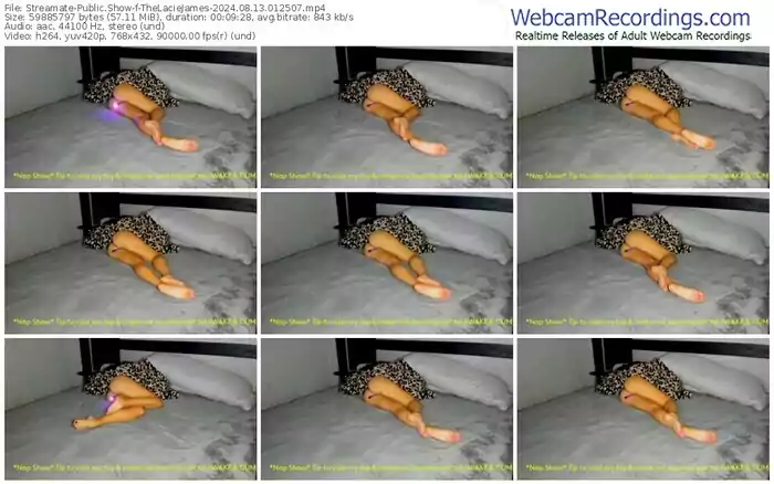 streamate-thelaciejames-08-13-2024-01-25-07