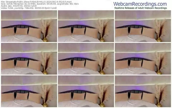 streamate-ashleyhiills-08-14-2024-05-16-15